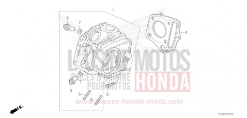 CULASSE CRF50FP de 2023